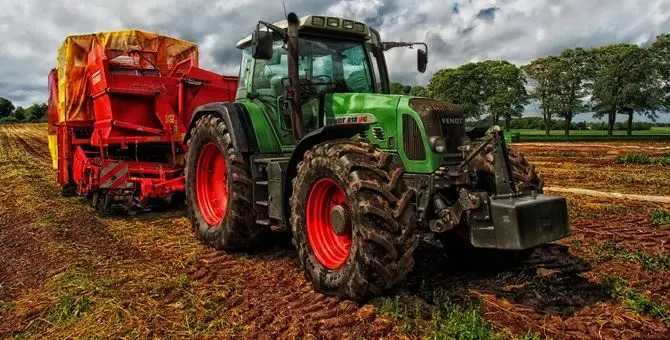 Truffe in agricoltura, sequestrati 300mila euro di beni a imprenditori del Reggino