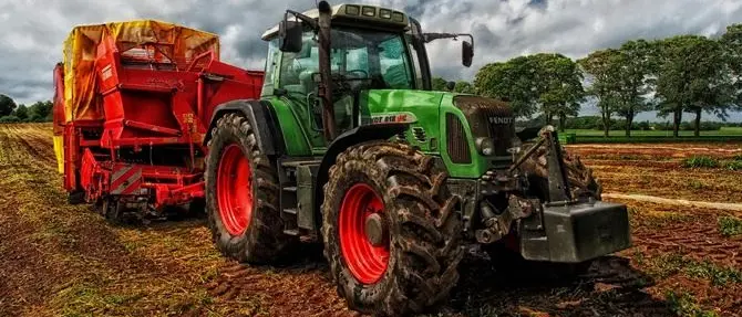 Truffe in agricoltura, sequestrati 300mila euro di beni a imprenditori del Reggino