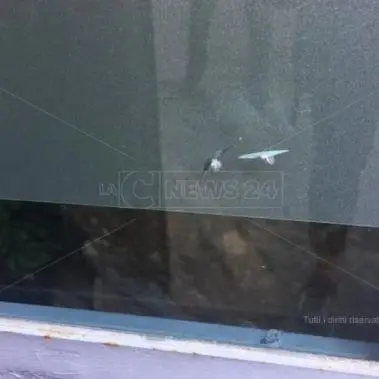 Cosenza, danneggiate vetrate studio oncologico che offre gratis assistenza