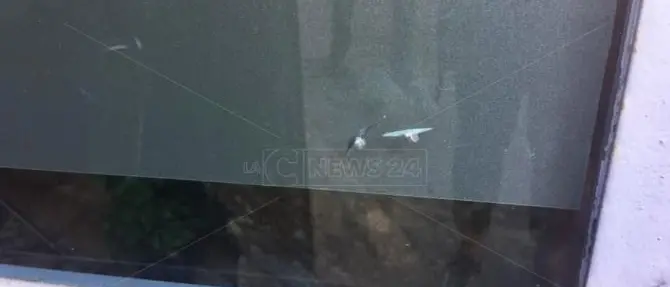 Cosenza, danneggiate vetrate studio oncologico che offre gratis assistenza