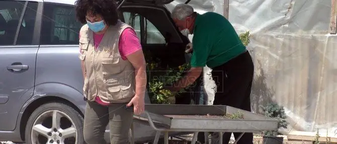 Fase 2, vivai in crisi: «Troppi i danni del lockdown, chiediamo aiuto»