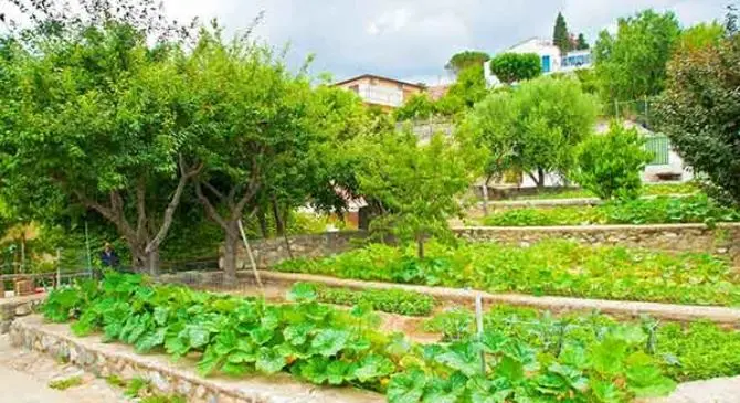 Reggio Calabria, rubati mezzi agricoli alla cooperativa Casa del sole