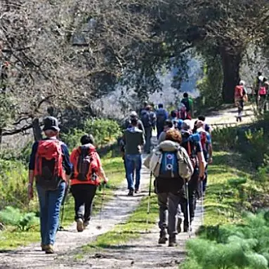 Giornata dell'ambiente, Tallini: «Con il Cammino basiliano dato un forte segnale»