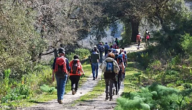 Giornata dell'ambiente, Tallini: «Con il Cammino basiliano dato un forte segnale»