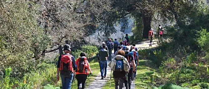 Giornata dell'ambiente, Tallini: «Con il Cammino basiliano dato un forte segnale»