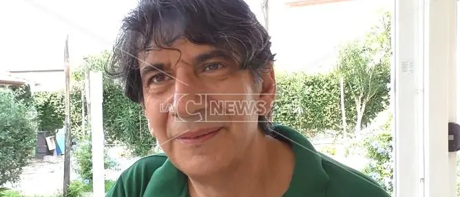 Tansi: «Frecciarossa in Calabria, questa non è alta velocità»