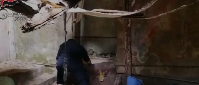 Armi, munizioni e marijuana: arrestato giovane nel Reggino