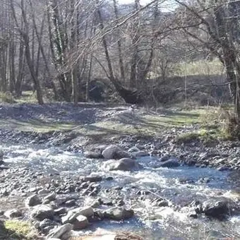 Parco nazionale d'Aspromonte, ritrovato il 60enne disperso