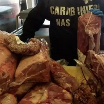 I Nas sequestrano 9 tonnellate di carne e pesce prive di controlli sanitari