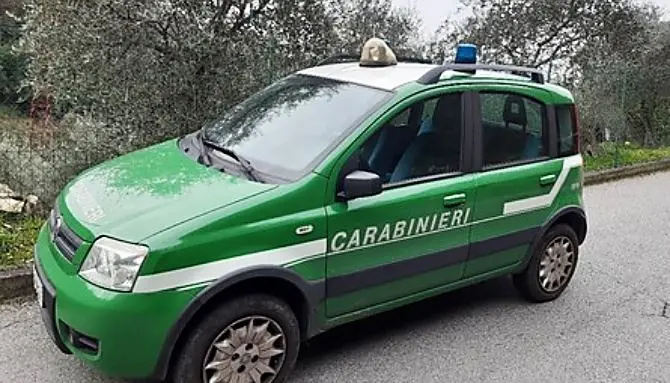 Lavori abusivi sul litorale di Cassano allo Ionio, sequestrata area Sic