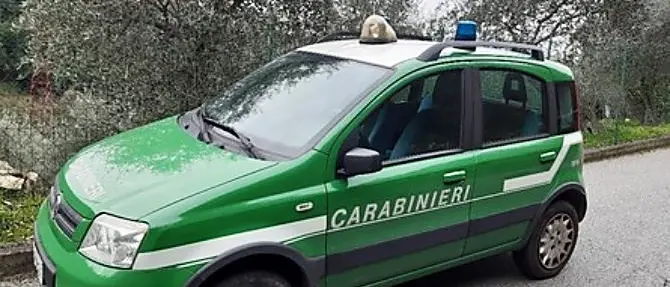 Lavori abusivi sul litorale di Cassano allo Ionio, sequestrata area Sic