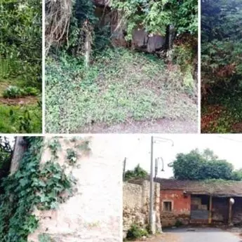 Vibo, rudere messo all'asta dalla Provincia. L’archeologa: «A rischio un tesoro collettivo»