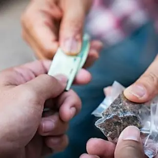 Blitz antidroga tra Cosenza, Salerno e Trento: 38 misure cautelari