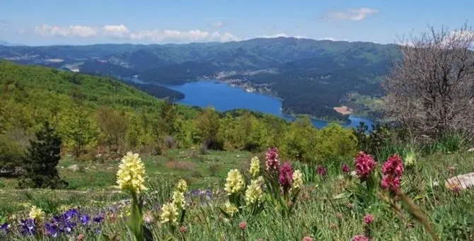 Vacanze, Calabria in cima alle scelte consigliate da Touring club e Legambiente