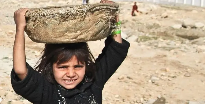 Giornata mondiale contro lavoro minorile, il monito dell'Unicef