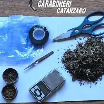 Catanzaro, banconote false e marijuana: tre denunce