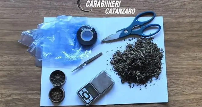 Catanzaro, banconote false e marijuana: tre denunce