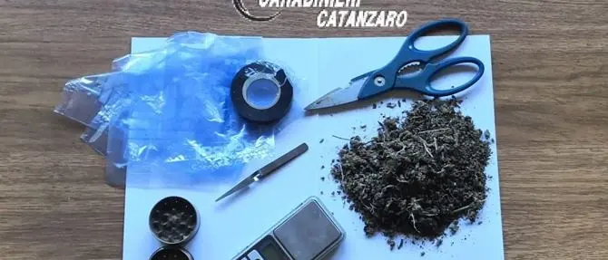 Catanzaro, banconote false e marijuana: tre denunce