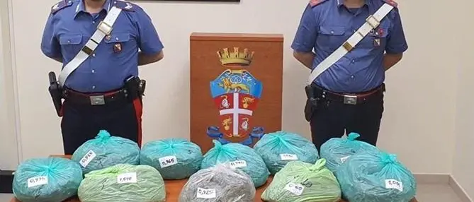 Viaggiava in auto con 10 chili di marijuana, un arresto nella Locride
