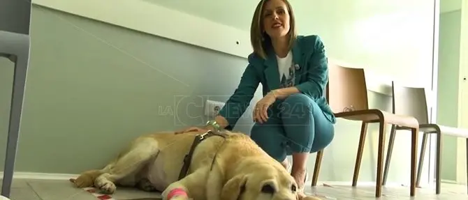 LaC Salute, quando il benessere degli animali si fonde con quello dell'uomo