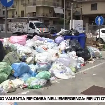 Vibo, uno tsunami di monnezza: città assediata da rifiuti e cani randagi