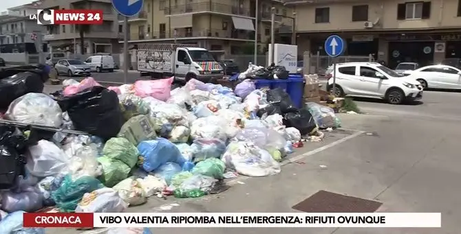 Vibo, uno tsunami di monnezza: città assediata da rifiuti e cani randagi