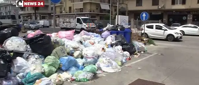 Vibo, uno tsunami di monnezza: città assediata da rifiuti e cani randagi