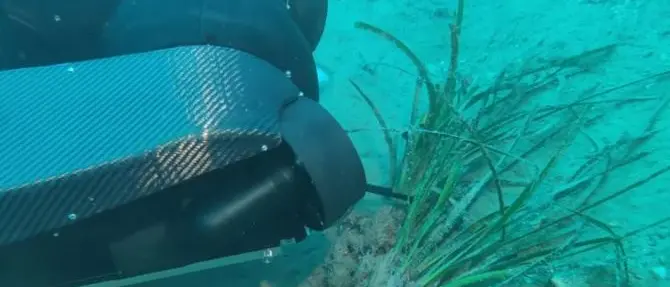 In Calabria droni e robot sottomarini esploreranno fondali e colonie di coralli