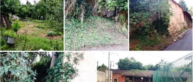 Vibo, il rudere della Provincia non si vende più: diventerà una casa museo