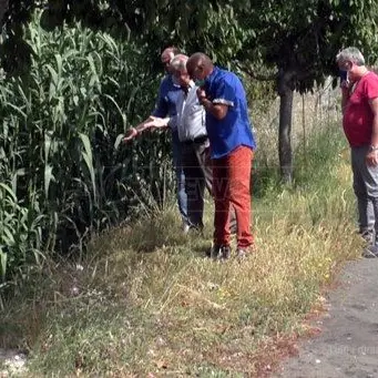 Lamezia, degrado e incuria: il torrente Canne è un incubo per i residenti