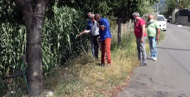 Lamezia, degrado e incuria: il torrente Canne è un incubo per i residenti