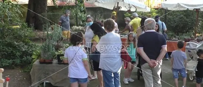 “Cittanova floreale”: il coronavirus non ferma la dodicesima edizione della mostra