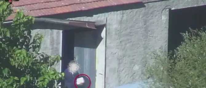 Operazione Overture a Cosenza, così Alfonsino Falbo coordinava le attività di spaccio