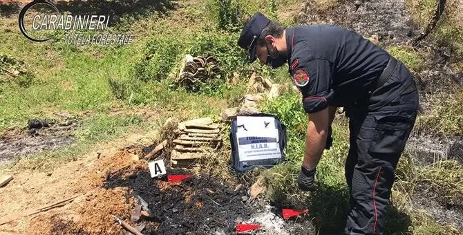 Bosco in fiamme a Rota Greca, denunciato il responsabile