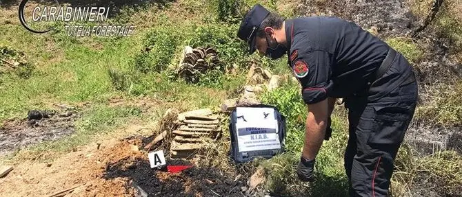 Bosco in fiamme a Rota Greca, denunciato il responsabile