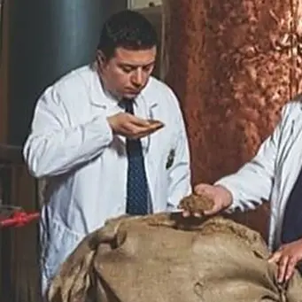 Le grappe della distilleria Caffo riconosciute le migliori al mondo