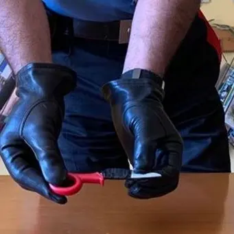 Guardia Piemontese, rubavano nelle auto dei bagnanti in spiaggia: 2 arresti