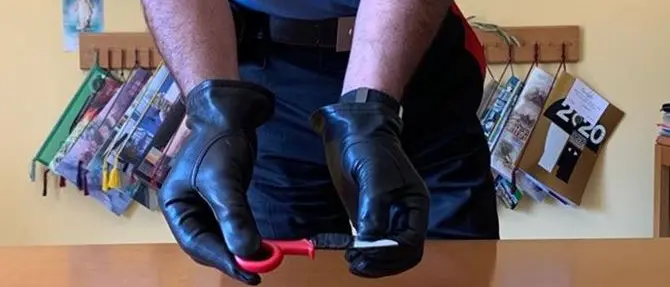 Guardia Piemontese, rubavano nelle auto dei bagnanti in spiaggia: 2 arresti