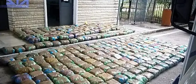 Narcotraffico, 37 arresti tra Italia e Albania. Blitz anche in Calabria