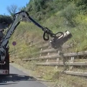 Manutenzione del verde, Anas a lavoro sulle strade tra Catanzaro e Vibo