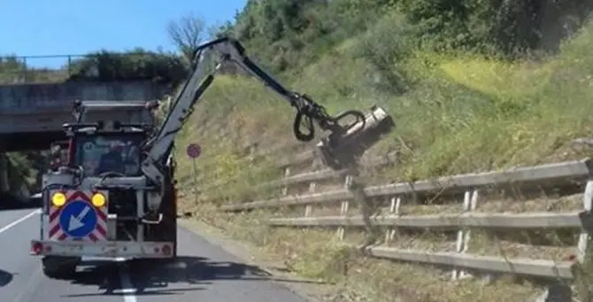 Manutenzione del verde, Anas a lavoro sulle strade tra Catanzaro e Vibo