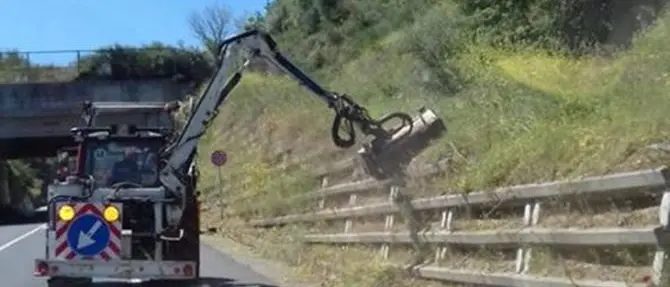 Manutenzione del verde, Anas a lavoro sulle strade tra Catanzaro e Vibo