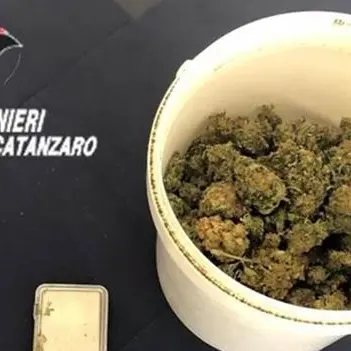 In casa con oltre 200 grammi di marijuana, un arresto a Catanzaro