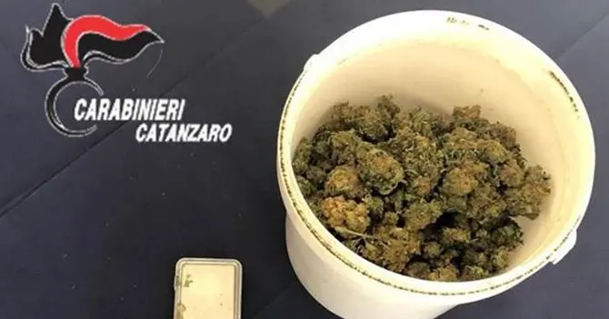 In casa con oltre 200 grammi di marijuana, un arresto a Catanzaro