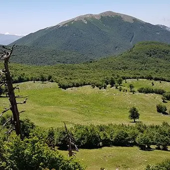 Il Parco del Pollino pronto a investire fondi per il turismo sostenibile