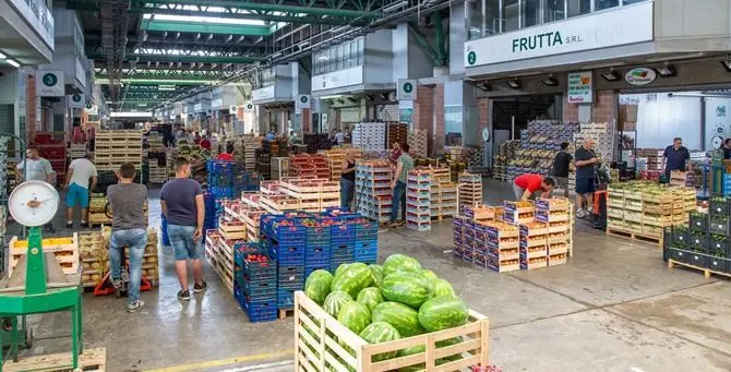 Catanzaro, rubati due automezzi e devastati gli uffici del Comalca