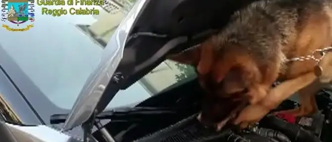 Sorpreso con oltre 4 chili di cocaina, arrestato ex noto allenatore nel Reggino