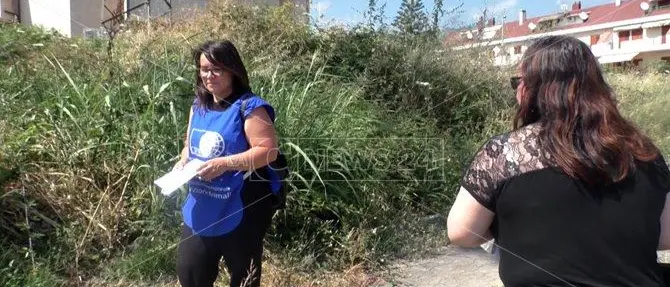 Lamezia, strage di gatti: avvelenata una colonia. E il Comune “vieta” di dar cibo ai randagi