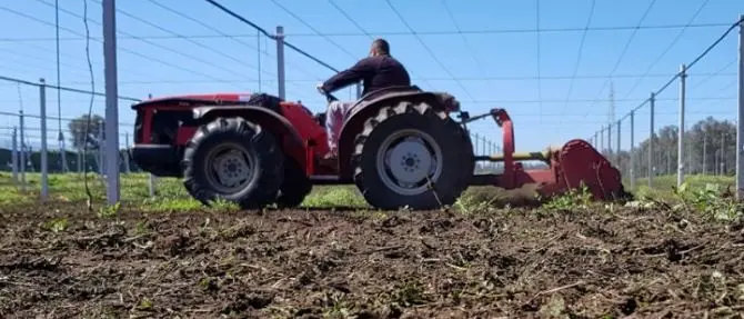 Coop Valle del Marro, ennesima intimidazione: è la sesta in due mesi