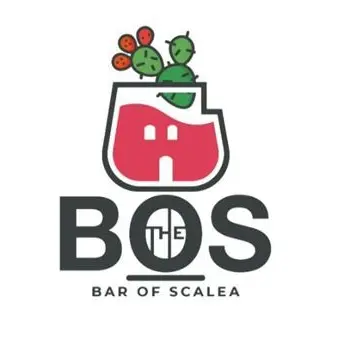 Cooperazione commerciale, a Scalea nasce l'associazione Bos